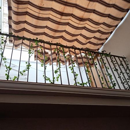 Apartamento Casa Con Vistas Al Campo Y Cocina Con Terraza Villanueva de San Juan المظهر الخارجي الصورة